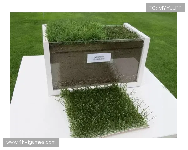 瓦伦西亚主场翻新草坪，采用混合草皮技术